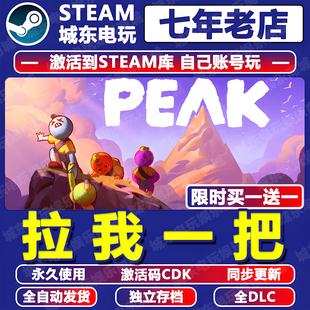 PEAK拉我一把 Steam激活码CDK全DLC全球国区游戏入库在线联机多人
