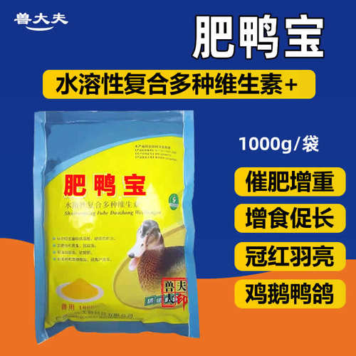 肥鸭宝催肥广佳增重毛色发亮鸭子