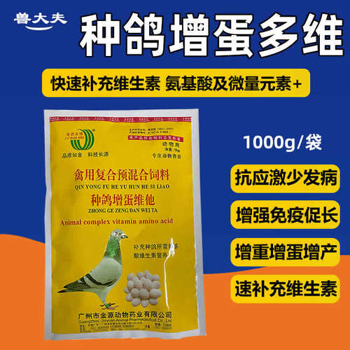 种鸽多维鸽子专用增蛋多维蛋多多