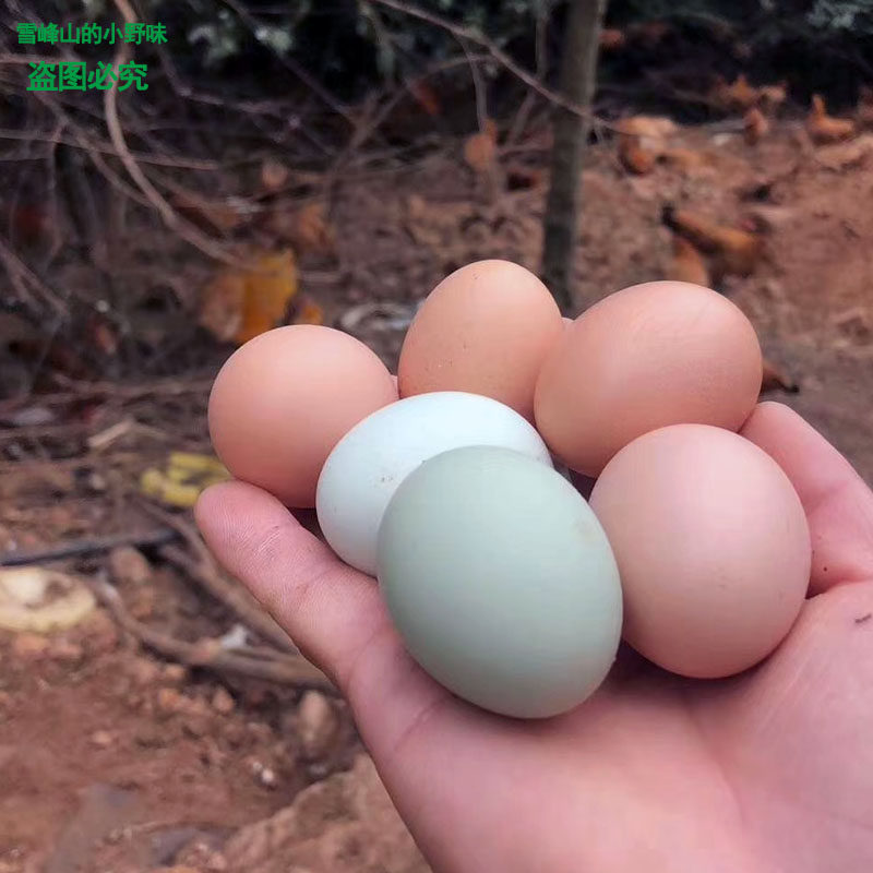 正宗土鸡蛋新鲜 30枚装当日现捡 农家散养雪峰山乌骨绿壳蛋笨鸡蛋