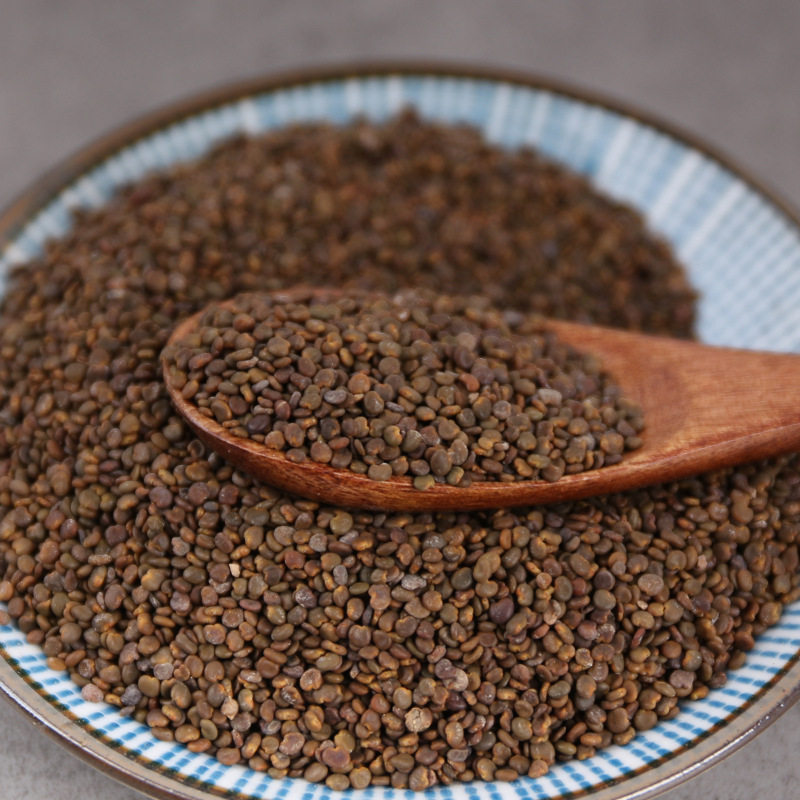 中药沙苑子 白蒺藜 沙苑蒺藜子 沙蒺藜 代嚰粉