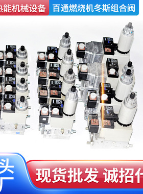 德国DUNGS冬斯燃气双电磁组合阀多功能MB-ZRDLE412系列