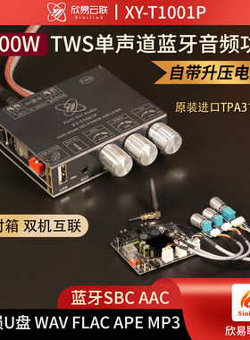 T1001P单声道100W蓝牙音频功放高低音调节TWS对箱真无线TPA3116