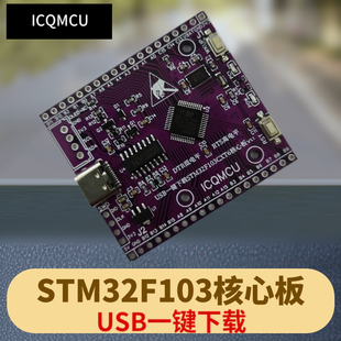 STM32F103C8T6开发板 核心板 USB串口下载 SWD TYPE-C
