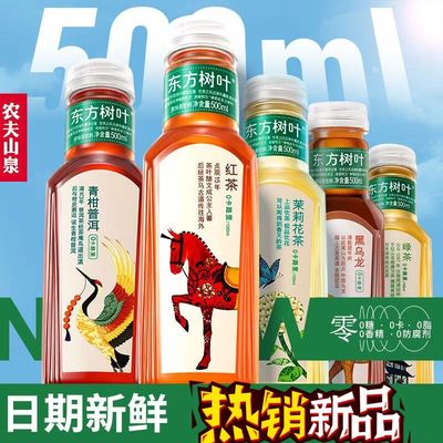 农夫山泉东方树叶调味茶饮料500ml/瓶茉莉花茶普洱乌龙茶绿茶红茶