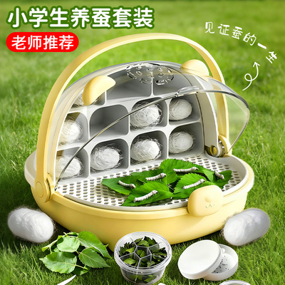蚕宝宝学生养蚕套装送新鲜桑叶