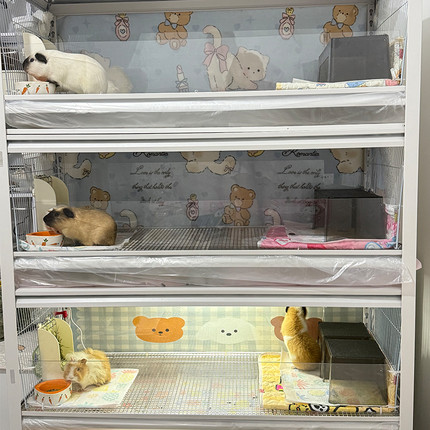 网红荷兰猪货架专用网 304冲孔网 一件订制  厂家直销 一件代发