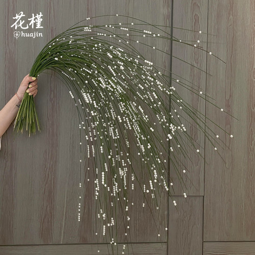 串钢草花艺装饰材料创意垂坠钢草
