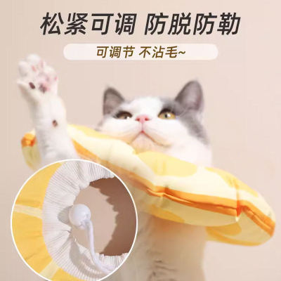 猫咪伊丽莎白圈脖套绝育