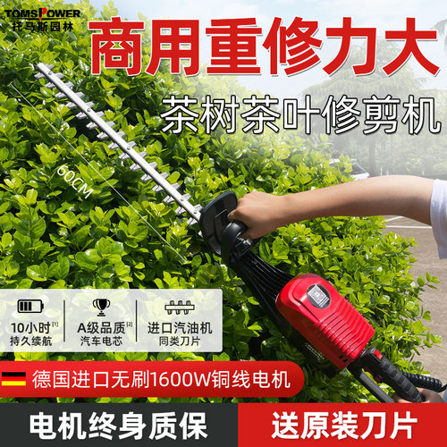 托马斯电动绿篱机茶园老粗枝修剪