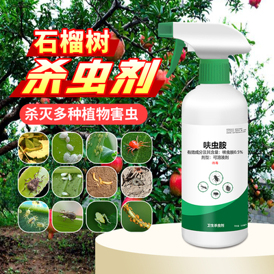 石榴树花专用药蚧壳虫果树杀虫剂虫害蚜虫防虫强力打药除虫用药生
