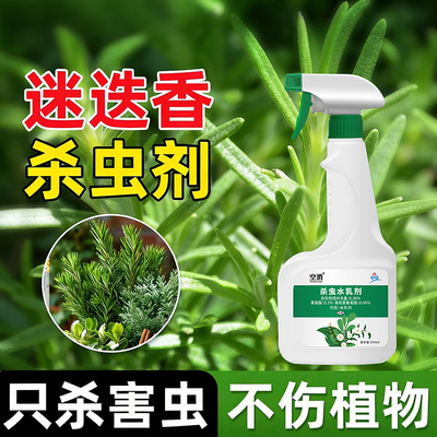 迷迭香杀虫剂园艺驱虫除虫介壳长虫专用生药蚧壳虫喷雾虫害杀芥壳