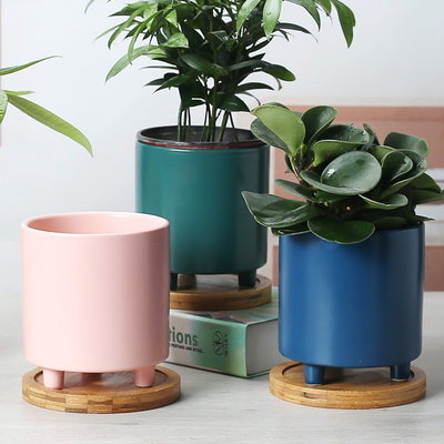 大口径多肉植物花盆大号陶瓷竹托盘圆形创意北欧简约个性高白色盆 虎窝淘