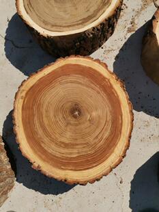 老榆木菜墩饭出店厨房用榆木菜板新品制口各种尺规格榆寸木墩定子