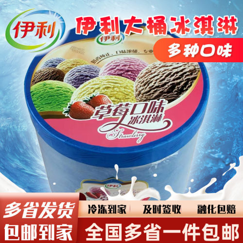 伊利大桶冰淇淋餐饮奶茶商用挖球
