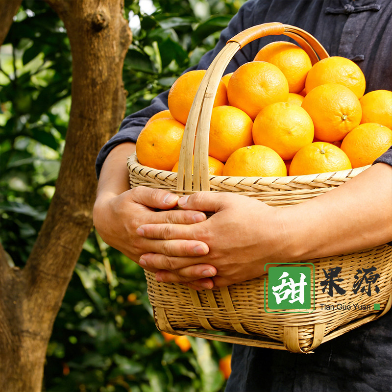 湖南麻阳冰糖橙9斤大果