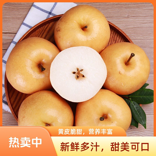 山东秋月梨新鲜发货整箱包邮