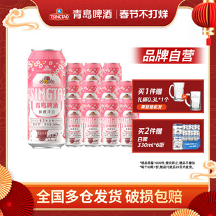青岛啤酒全麦白啤樱花味500ml*12听罐啤整箱包邮官方旗舰店正品