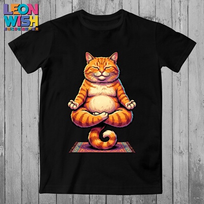 打坐冥想胖橘猫T恤佛系治愈系搞怪风瑜伽原创潮牌LEONWISH体恤