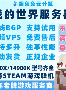 我的世界服务器MC服务端VPS租用R9I9联机BGP开服务器整合包8272CL