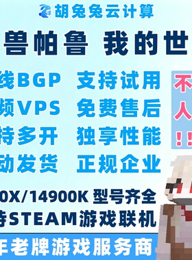 我的世界服务器幻兽帕鲁MC服务端VPS租用R9I9联机开服务器8272CL