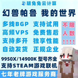 我的世界服务器幻兽帕鲁MC服务端VPS租用R9I9联机开服务器8272CL