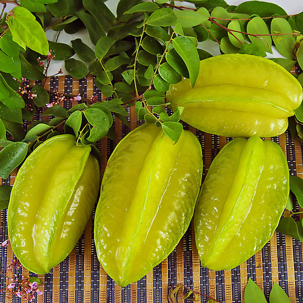 迎果恋 福建漳州新鲜杨桃 5斤优惠券折后￥29包邮（￥34-5）