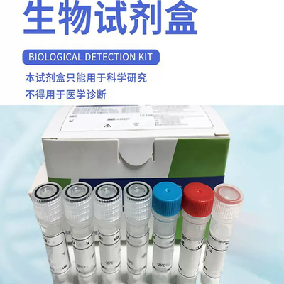 Western抗体洗脱液(强碱性) 500ml 科研实验试剂 现货促销