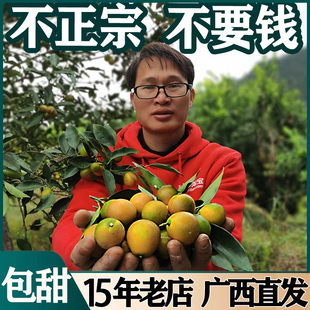 广西融安脆皮金桔大果柳州新鲜水果5斤鲜果金橘 纯甜不酸
