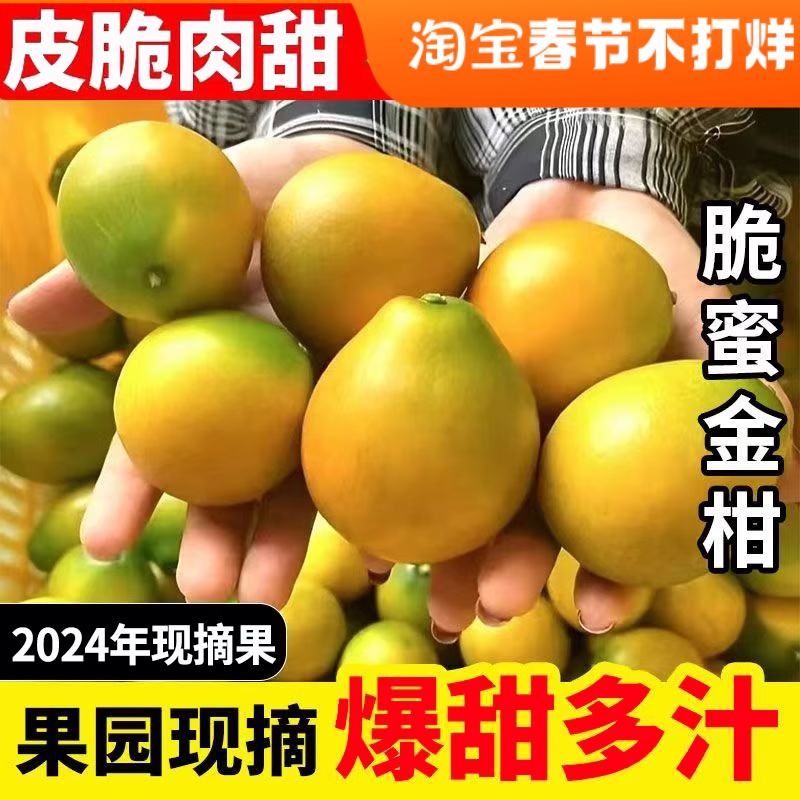【今日正常发货中】脆蜜金柑