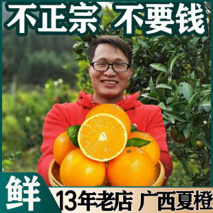 广西桂林高山夏橙新鲜当季孕妇水果现摘整箱手剥酸甜秭归脐橙子
