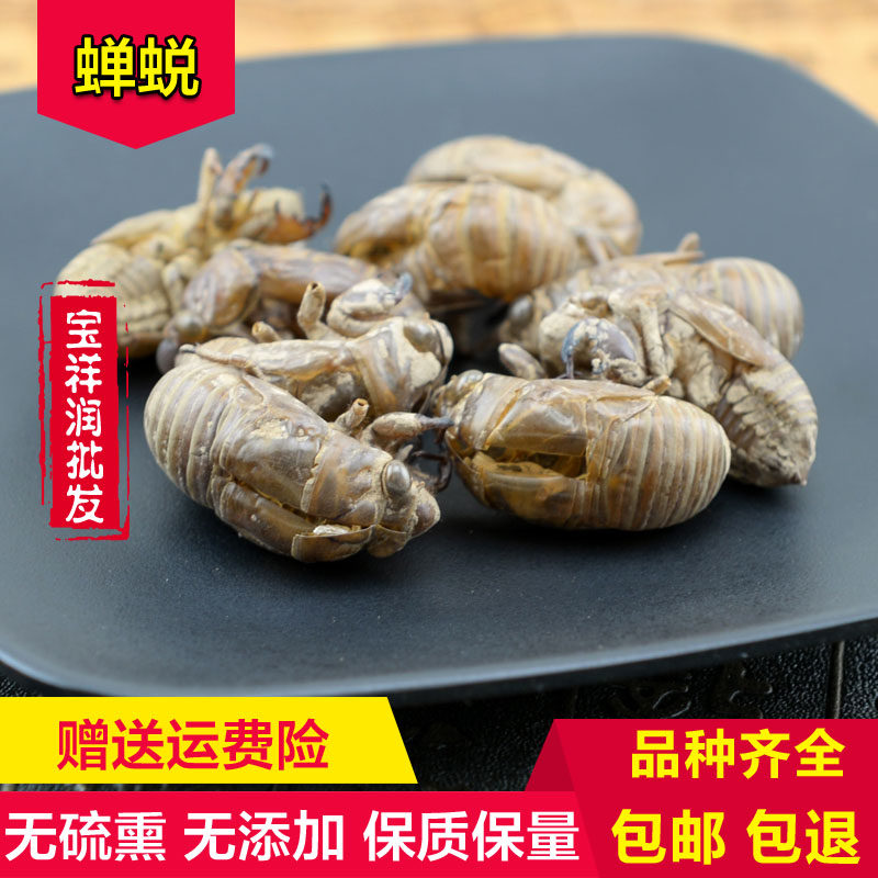 中药材蝉蜕特价500克包邮  蝉衣 蝉壳 蝉脱纯天然促销