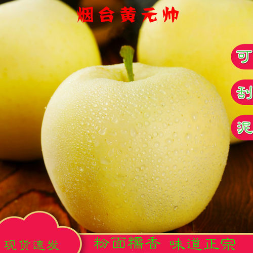 山东金帅沙面香蕉包邮孕妇水果