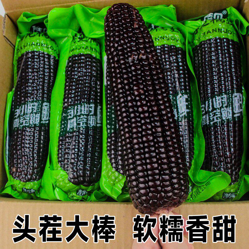 待见黑玉米新鲜糯玉米低脂代餐大棒真空装包装袋北纬山西忻州甜粘