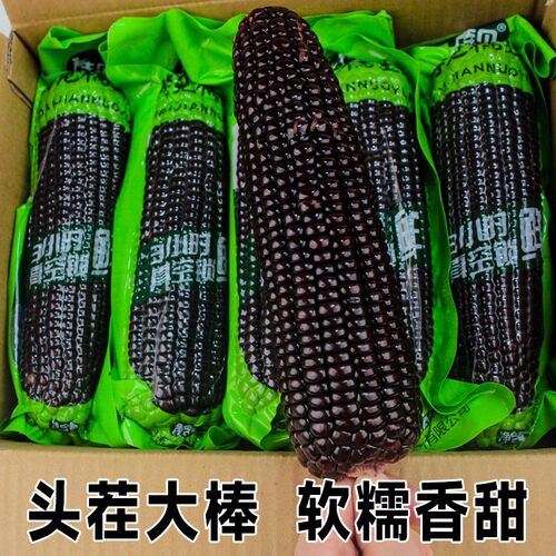 待见当季头茬黑糯玉米20根整箱