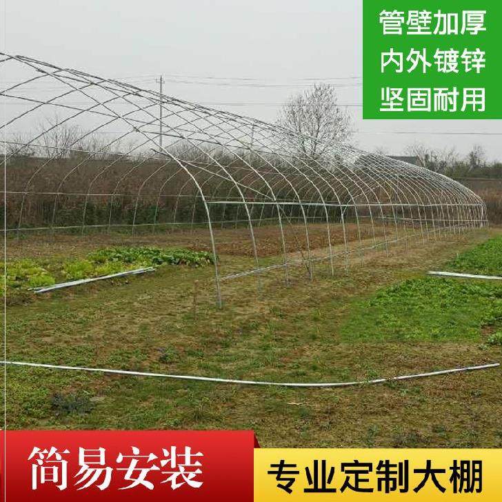 Autumn greenhouse Steel pipe Work shed Hua Peng Anti canopy Shed door Bearing Clamp Greenhouse Ruggedized Enhanced Vegetable gardenin the Flower delivery/Flowers simulation/Plants gardening , Gardening supplies , Other Garden Supplies  category - from Buy2taobao.com to provide professional Taobao agent buy service