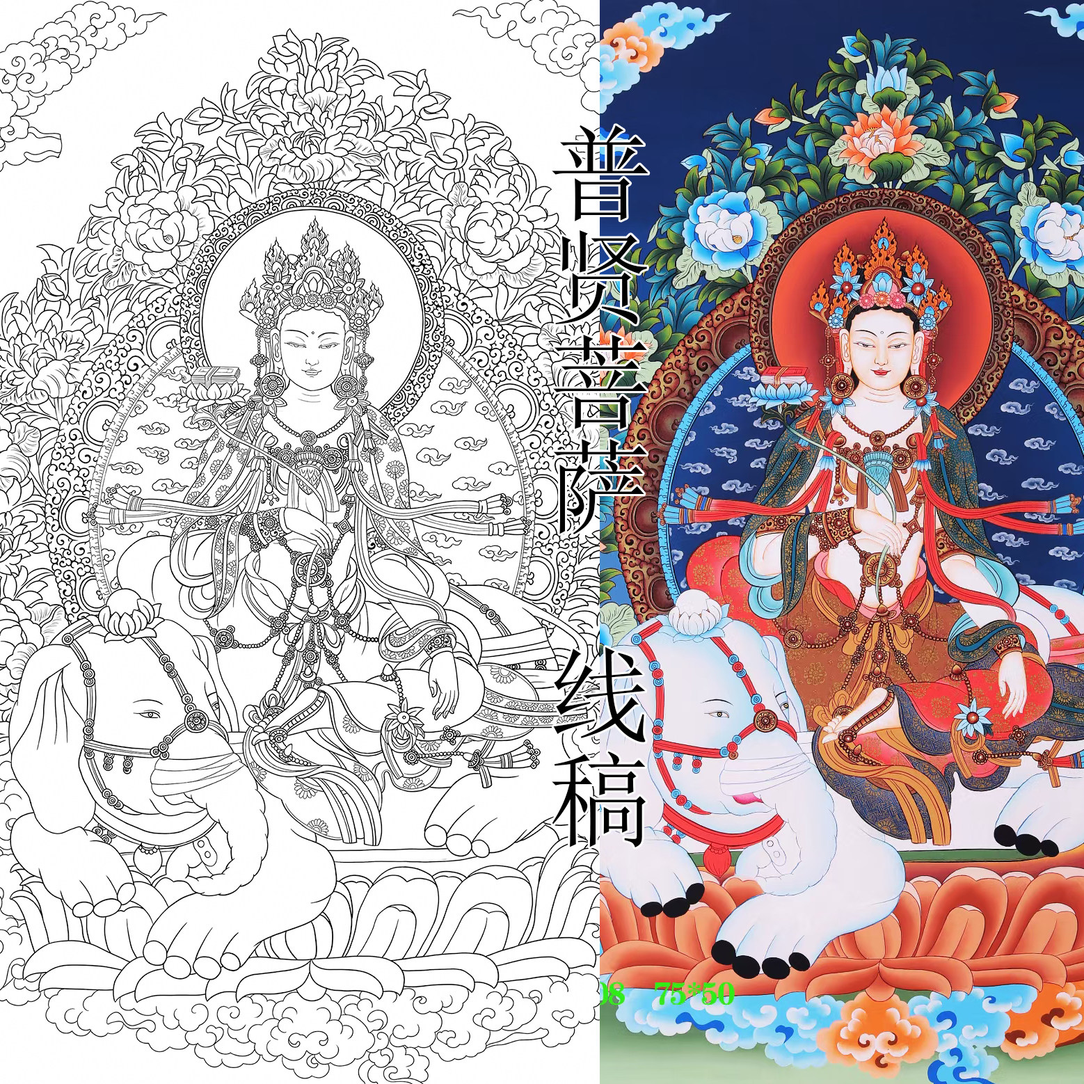 本命佛唐卡属蛇龙 自画普贤菩萨唐卡手绘diy 描金线稿高清图绘画