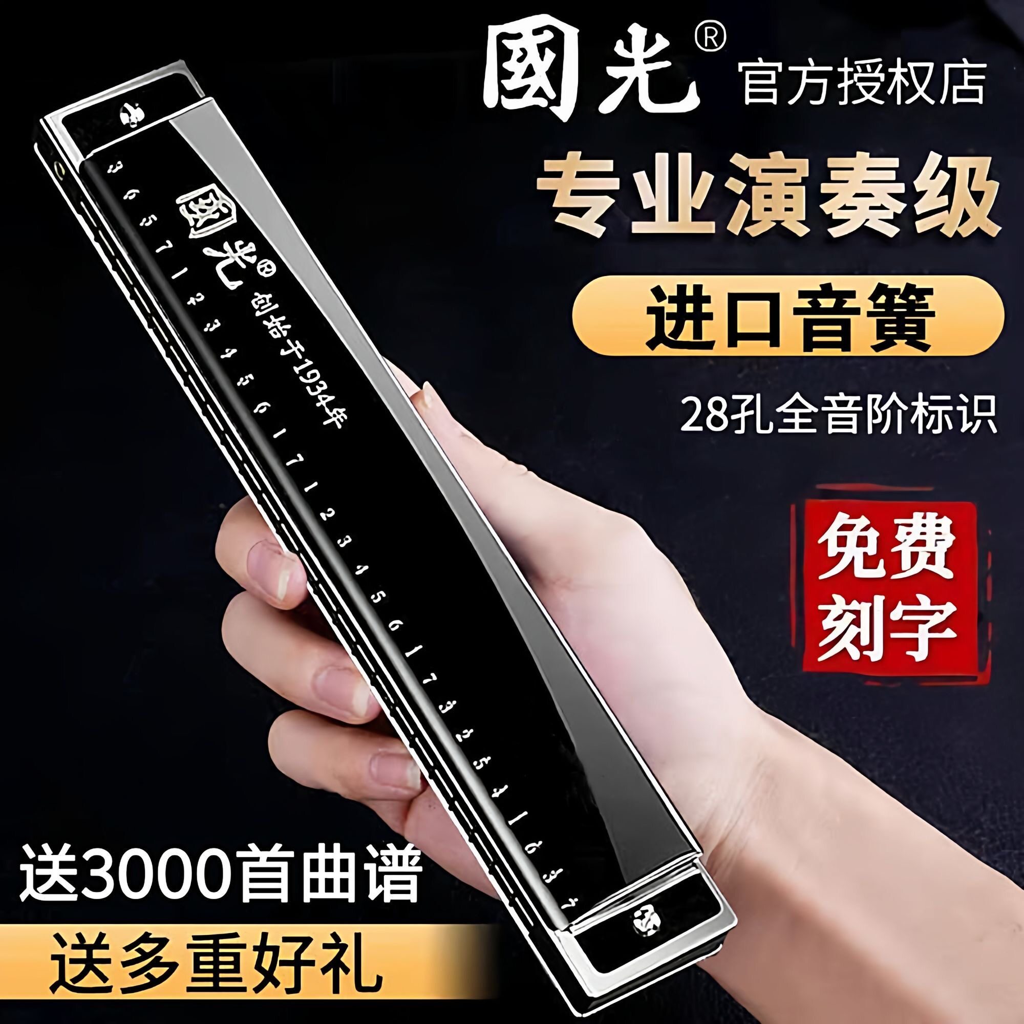上海国光牌口琴专业演奏级28孔重音德国进口音簧24孔复音C调初学