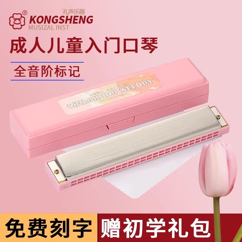 正品口琴24孔复音C调学生儿童图片