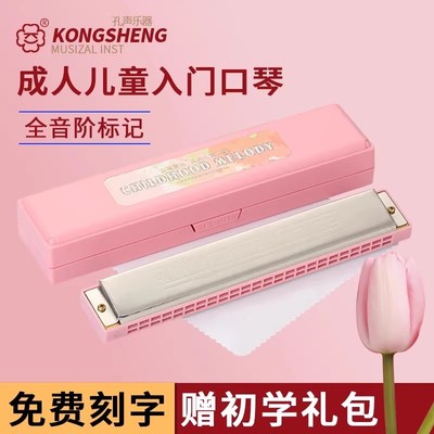 正品口琴24孔复音C调学生儿童