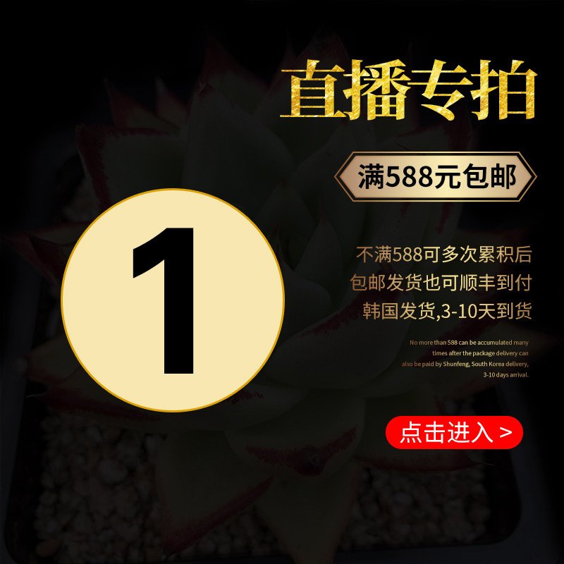 东云玛利亚麦秆一号链接