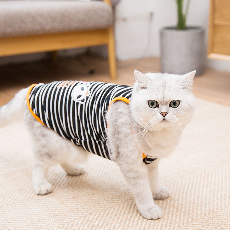 猫猫衣服薄款小型宠物印花猫咪背心英短折耳小猫服饰夏天清凉透气|ruв категории животное/Животное питание и принадлежностей, одежды и аксессуаров для домашних животных, домашний костюм/плащ - от Buy2taobao.com для оказания профессиональной услуги покупки агента Taobao