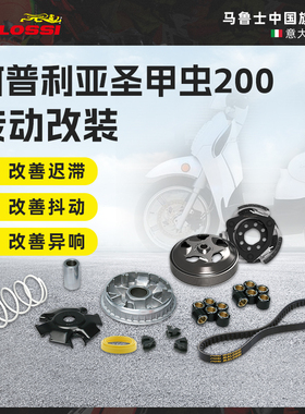 Malossi马鲁士 阿普利亚圣甲虫200改装传动套装意塔杰特通用配件