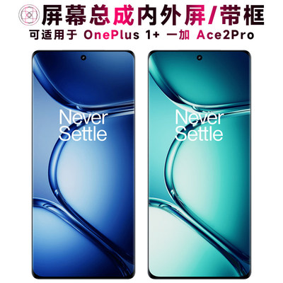 适用一加ACE2PRO屏幕总成