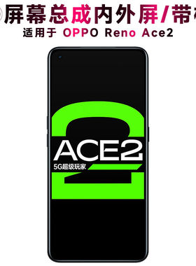 适用OACE2总成带框oace2