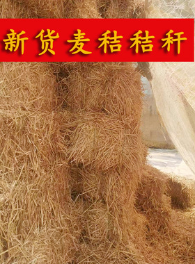 小麦秸秆天然宠物窝鸡窝草牛食料干麦秸装饰填充狗鸭窝草道具秸秆