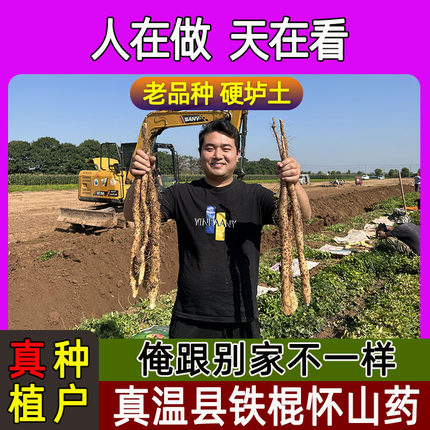 正宗河南焦作温县怀山药新鲜5斤铁杆淮山垆土铁棍山药官方旗舰店