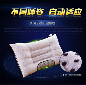 枕头决明子枕芯保健明目枕护颈椎磁疗安神记忆枕单人真空压缩特价