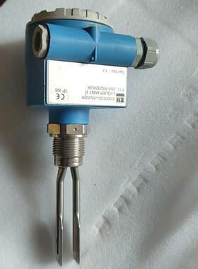 E+H FTL360-RGR2A4O 恩德斯豪斯音叉物位计p