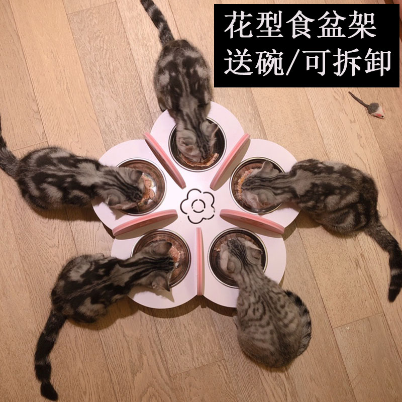 宠物喂食盆猫碗狗食盆幼犬幼猫小体玩具体狗崽崽猫咪吃饭盆架子 宠物/宠物食品及用品 猫狗碗/慢食碗 原图主图